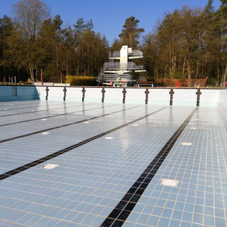 Leeres Schwimmbad mit Fliesenboden und Sprungturm vor einer sonnigen Baumlandschaft.